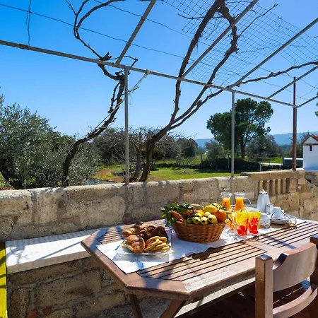 Yannis Place فيلة