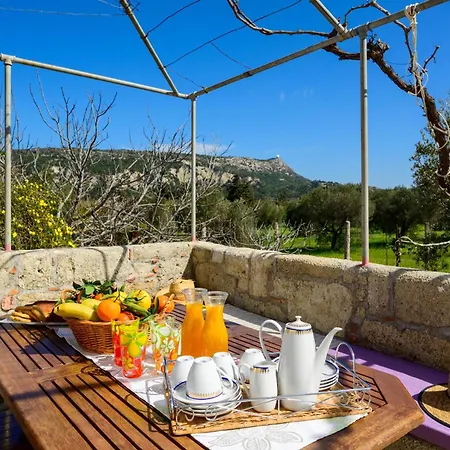 فيلة Yannis Place